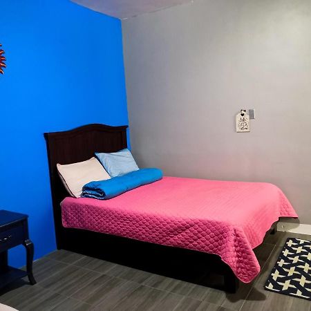 Montealban House Bed and Breakfast Oaxaca Exteriör bild