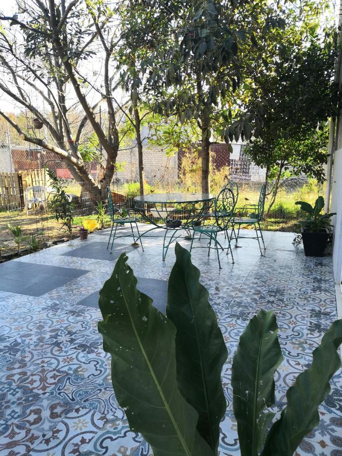 Montealban House Bed and Breakfast Oaxaca Exteriör bild