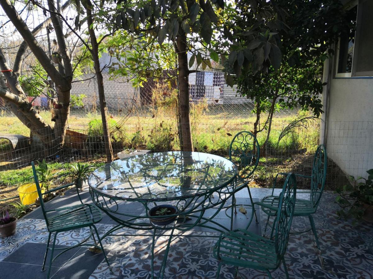 Montealban House Bed and Breakfast Oaxaca Exteriör bild